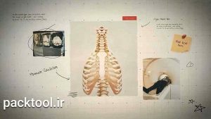 دانلود پروژه آماده افترافکت: ارائه پروژه علمی Science Project Presentation