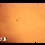 دانلود فوتیج فیلم قدیمی Super 8 Film Frame 6 Loop