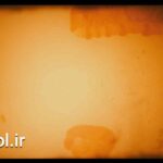 دانلود فوتیج حلقه و ریل فیلم نارنجی با گرانج Orange Film Reel With Grunge