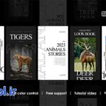 پروژه پریمیر استوری های حیات وحش اینستاگرام Instagram wildlife stories