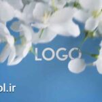 دانلود پروژه آماده پریمیر اوپنر لوگو موشن گل و گلبرگ عید نوروز Petals Opener