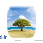 دانلود پروژه آماده افتر افکت لوگو موشن سفر و گردشگری Photo Logo Animation